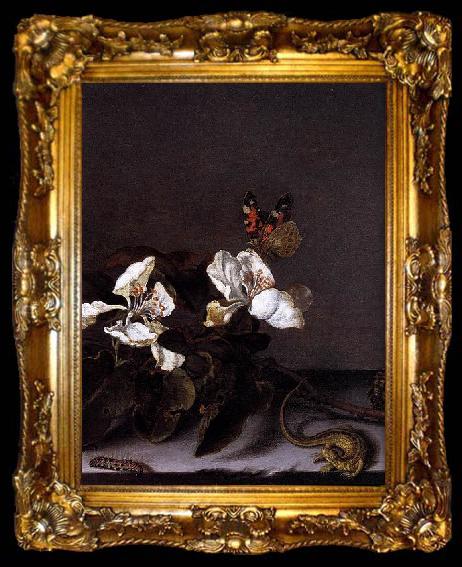 framed  Balthasar van der Ast Still-Life with Apple Blossoms, ta009-2